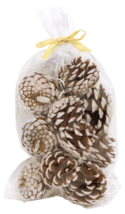 Kongler med snø, 13-pakning