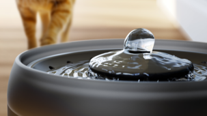 Philips Pet Series vattenfontän för katt, 2,2 liter