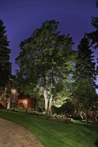 Trädgårdsspotlight LED