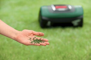 Bosch Indego S+ 500 robotgressklipper