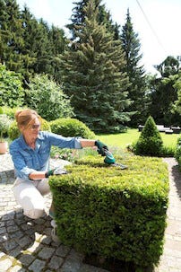 Bosch Isio III multitrimmer