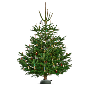 Krinner julgransfot X-440 Deluxe 11 liter