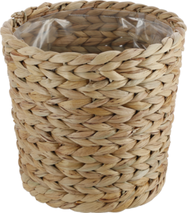 Blomsterpotte i vannhyasint