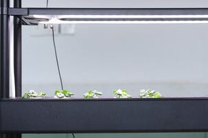 Hydroponisk odling kit med 90 odlingspluggar, 3 våningar