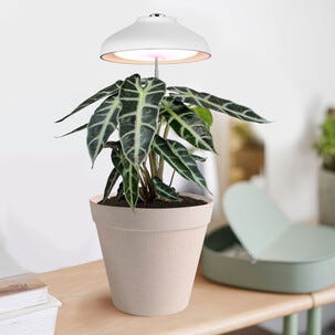 Växtlampa på spett LED för krukor, USB och teleskop, vit
