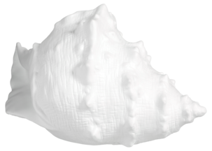 Pöytävalaisin Snäcka posliinia, Northlight