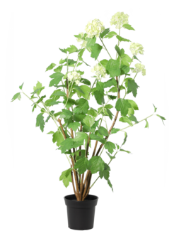 Konstväxt trädgårdshortensia vit, 98 cm