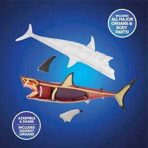 Discovery 4D Shark Anatomy Kit byggesett hai, fra 6 år