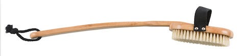 Ryggborste bambu