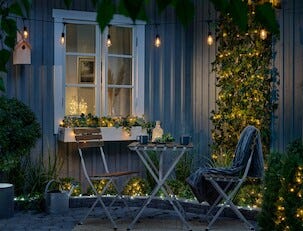 Tuja med LED-belysning