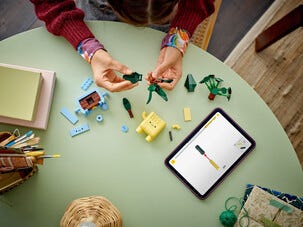 LEGO Botanical Collection Glada växter 10349, 9 år