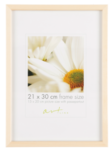 Fotoram Tallinn, furu