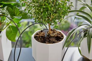 Gardena semesterbevattning med behållare, 10,5 liter