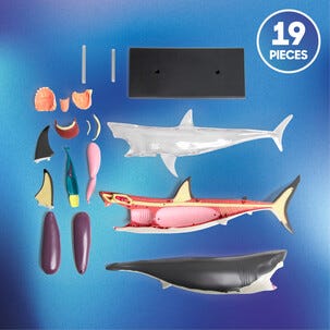 Discovery 4D Shark Anatomy Kit byggesett hai, fra 6 år