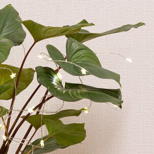 Ljusslinga LED för kruka, batteridriven, 80 cm