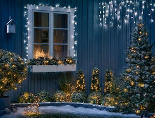 Tuja med LED-belysning