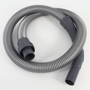 Pölynimurinletku Coline