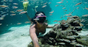 GoPro Protective Housing Hero 8 Black Vesitiivis kotelo 