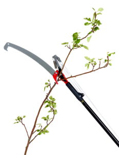 Grensaks og sag med teleskopskaft