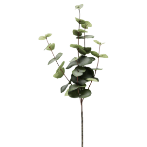 Eukalyptus konstgjord, 71 cm