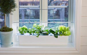 Nelson Garden plantelys LED-list innendørs, 85 cm
