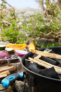 Light My Fire Tindersticks tändved