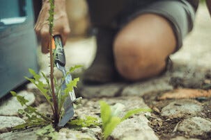 Fiskars Xact ogräsborttagare och plattrensare