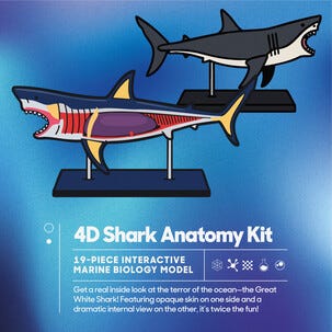 Discovery 4D Shark Anatomy Kit byggesett hai, fra 6 år