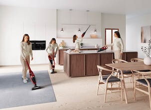 Electrolux Well Q6 WQ61-Anima Varsi-imuri