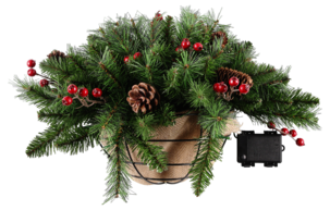 Granris i kruka LED för vägg, batteri, Northlight