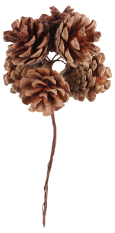 Kävyt koristeeksi ja askarteluun, 6 kpl