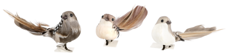 Dekorationsfåglar med clips, 3-pack