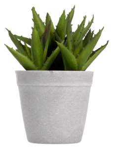 Aloe vera konstväxt, 17 cm