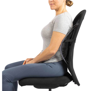 Swedish Posture Back Rest Selkätuki