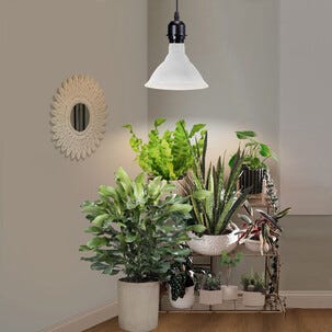 Plantelys LED E27 PAR38, innendørs vekstlys, 15W