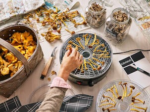 Svamptork / frukttork 5 nivåer