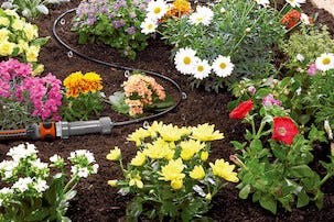 Bevattning för odlingsbäddar Gardena Micro-Drip