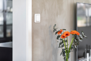 Trådlös väggströmbrytare Nexa WT-1/WT-2