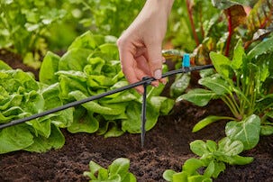 Gardena rørholdere på 4,6 mm, 3/16 tomme, 15-pakning