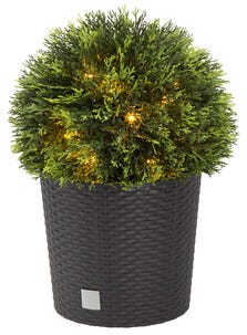 Northlight Thuja-ball 33 cm