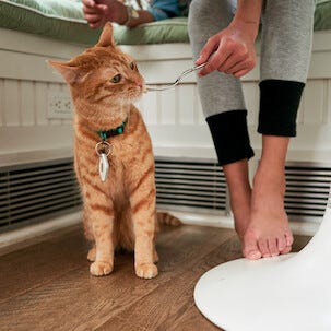 Tile Essentials Bluetooth trackers 4 stk/pk