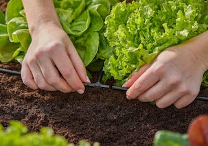 Gardena T-koppling 3/16 tum för Micro-Drip, 10-pack