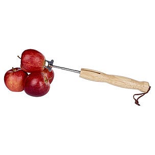 Teleskopisk grillspyd