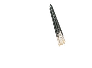 Penselsats, svinborst