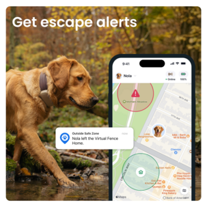 Tractive Dog 6XL GPS-tracker for stor hund