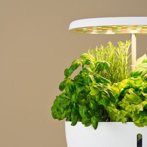 Hydroponisk odling kit 12 odlingspluggar och växtlampa LED
