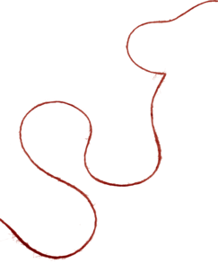 Jutesnöre 3 mm, 50 meter