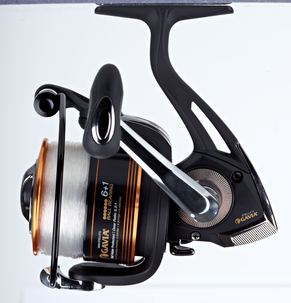 Haspelset Gavia Arctica