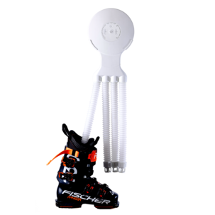 Hedgehog Octopus skotørker med 4 slanger