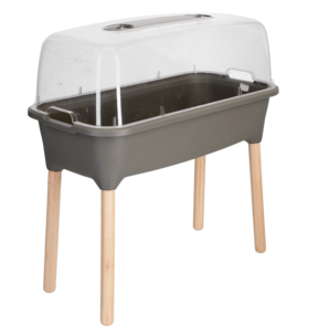 Minikasvihuone ruukkukasveille